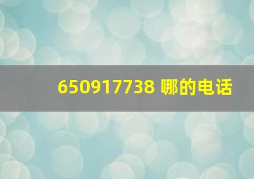 650917738 哪的电话